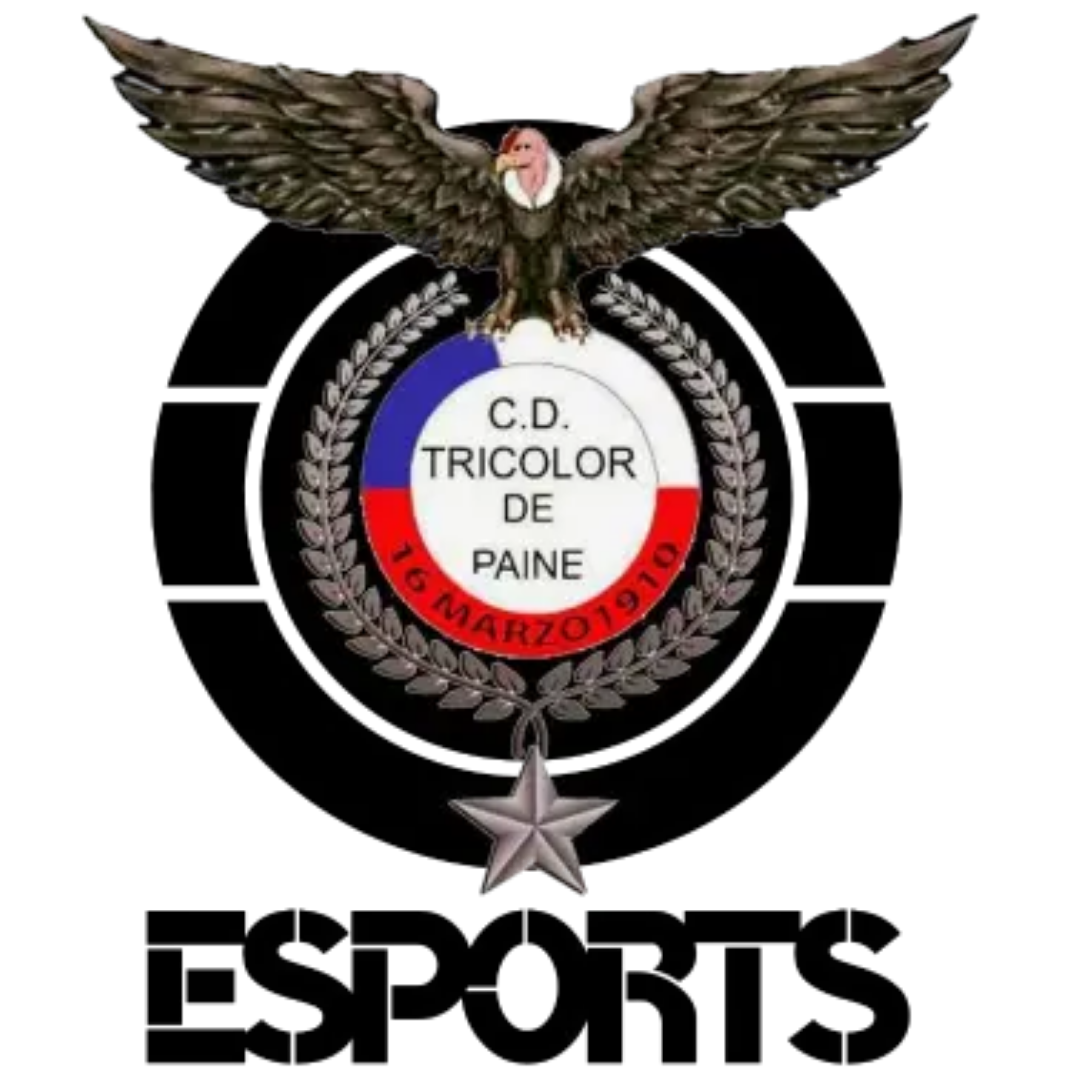 Escudo Tricolor De Paine eSp