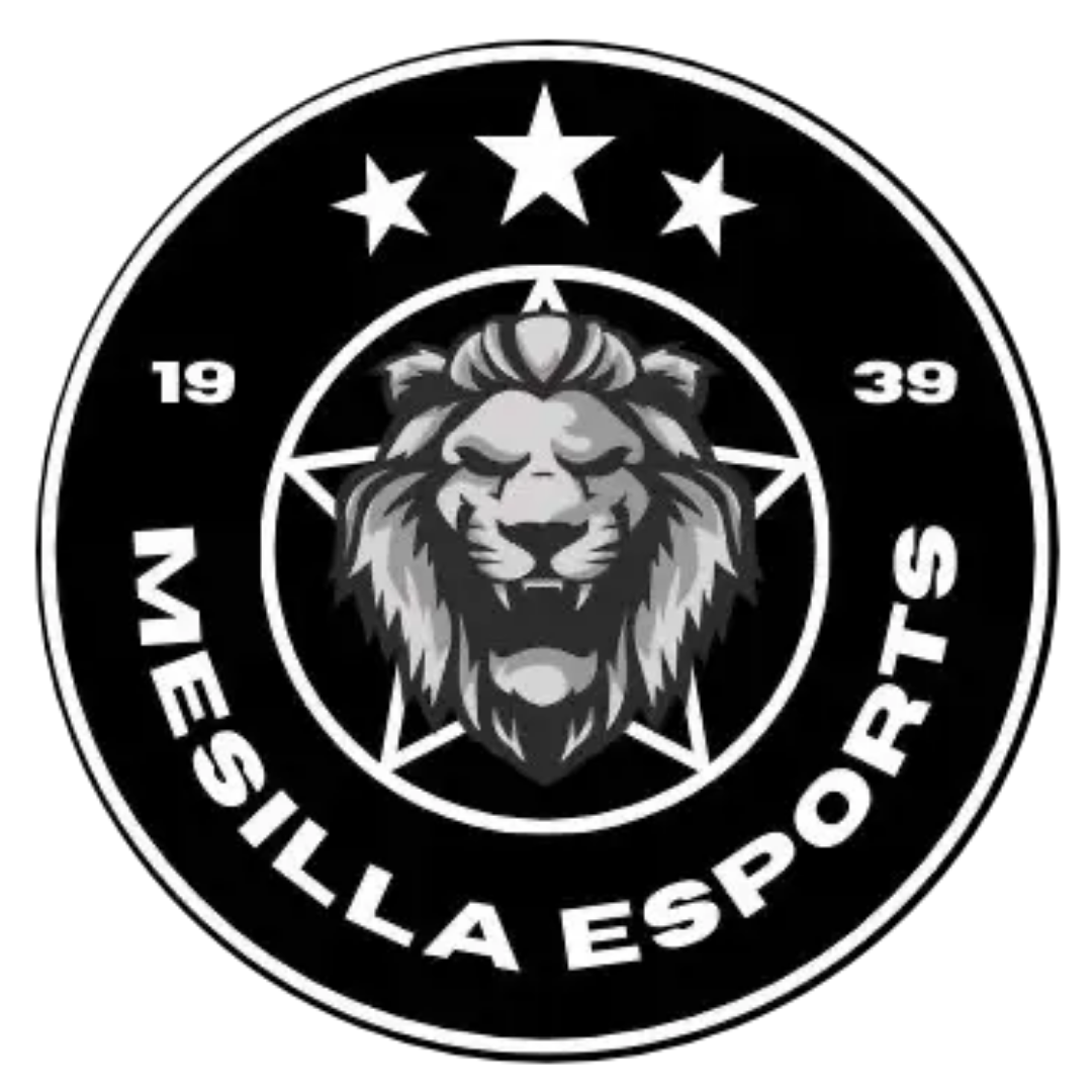 Escudo Mesilla eSports 