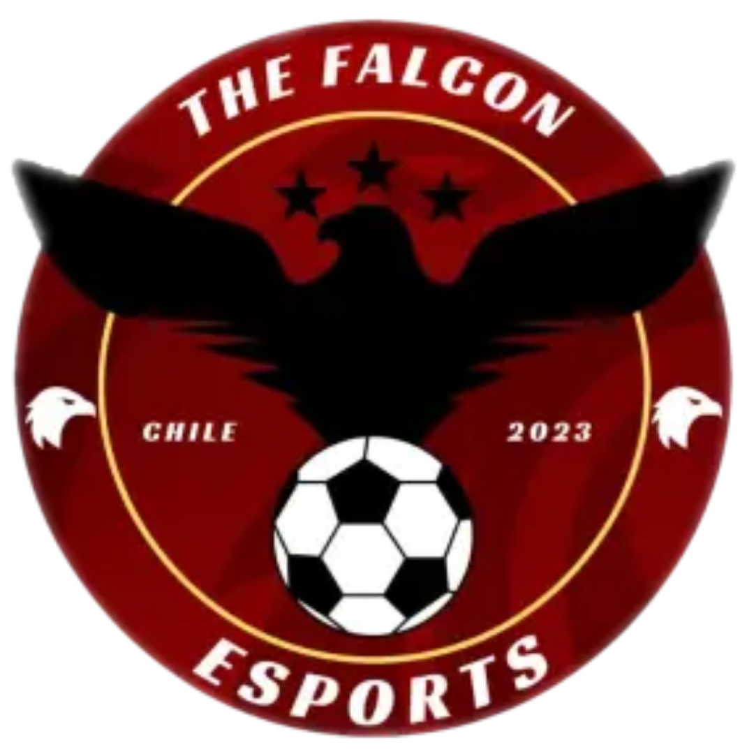Escudo The Falcon eSp