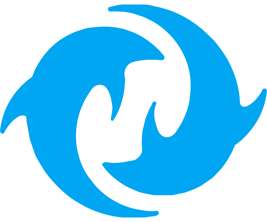 Escudo Dolphins Gaming